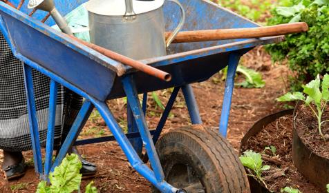 Wheelbarrow and tools