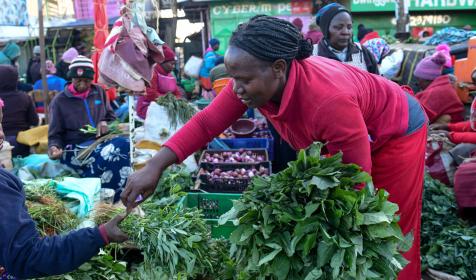 18295 - Fridah buying veg for her market stall