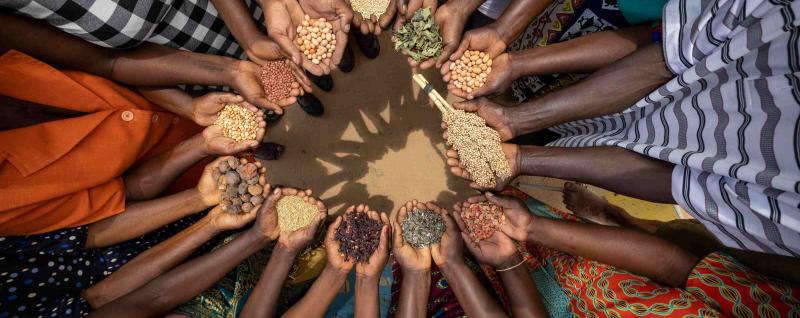 Various hands in a circle formation holding various harvest produce