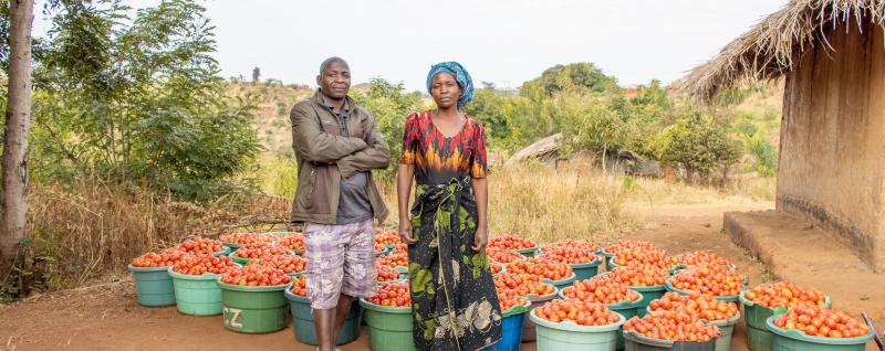 Victoria and her husband, with tomatoes ready for selling.