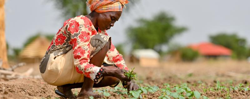 Anok Angok Kon lives in Aguat Boma, South Sudan. Regular floods damage her farmland, threatening her  livelihood and her family’s access to food